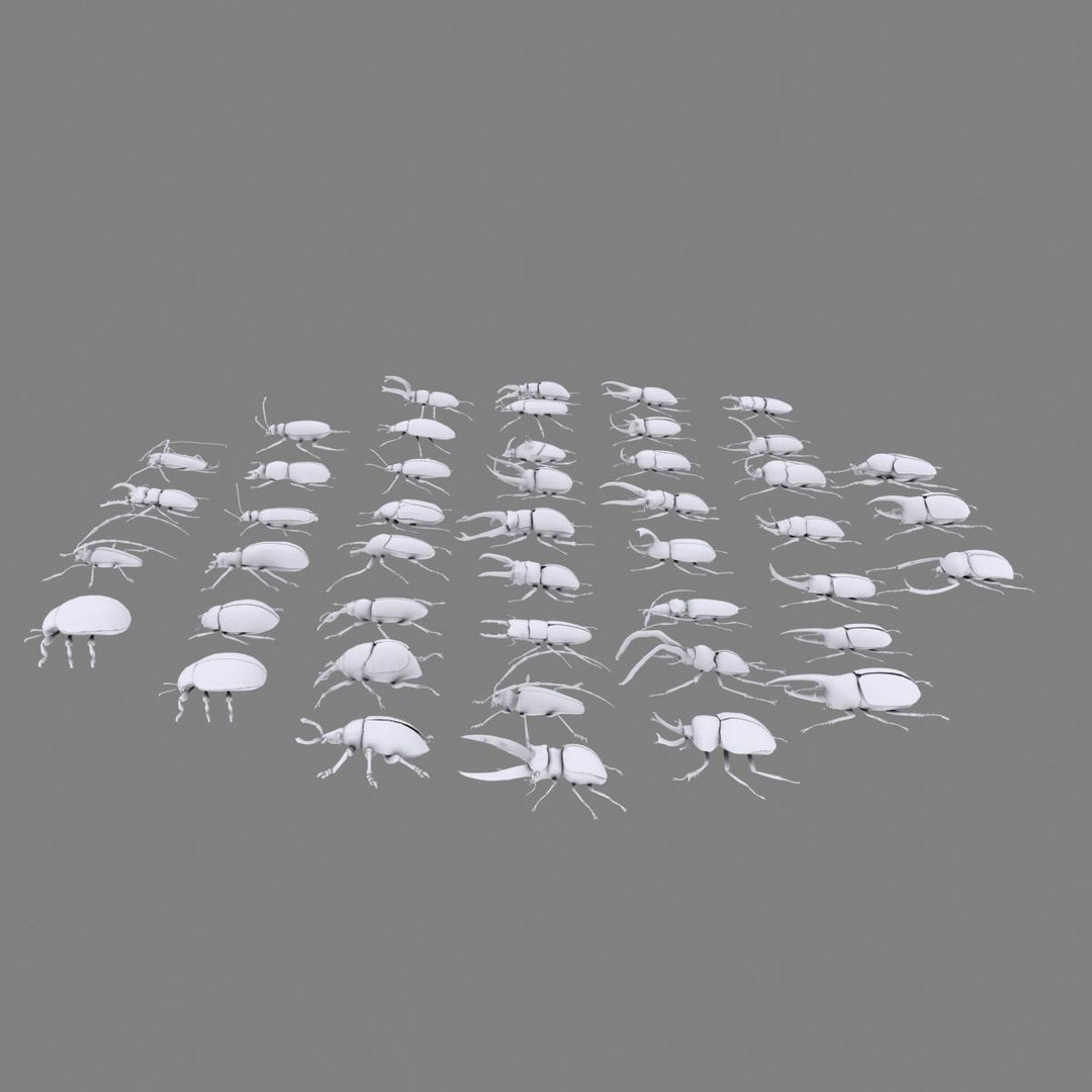 3ds max beetle leptinotarsa decemlineata https://p.turbosquid.com/ts-thumb/mp/RQOXHA/PYI3WcxW/beetles_prime02/jpg/1409211711/1920x1080/fit_q87/cb81edf64cae6726a668ba17e98374db82a7297c/beetles_prime02.jpg