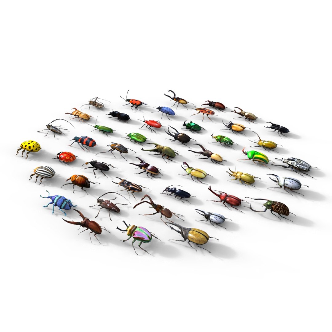 3ds max beetle leptinotarsa decemlineata https://p.turbosquid.com/ts-thumb/mp/RQOXHA/Pn66Acaj/beetles_base02/jpg/1409211214/1920x1080/fit_q87/59a924e4b947bfa07a1fc5b0471289d5bc82cf24/beetles_base02.jpg