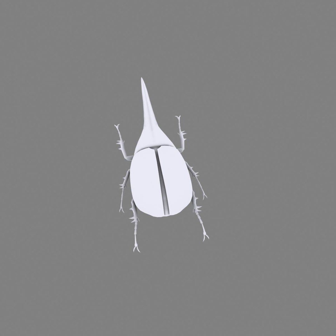 3ds max beetle leptinotarsa decemlineata https://p.turbosquid.com/ts-thumb/mp/RQOXHA/UOYlI4bt/beetles_prime04/jpg/1409211760/1920x1080/fit_q87/4339aa4c96b650c76feb46e569fb631dfa36d42f/beetles_prime04.jpg