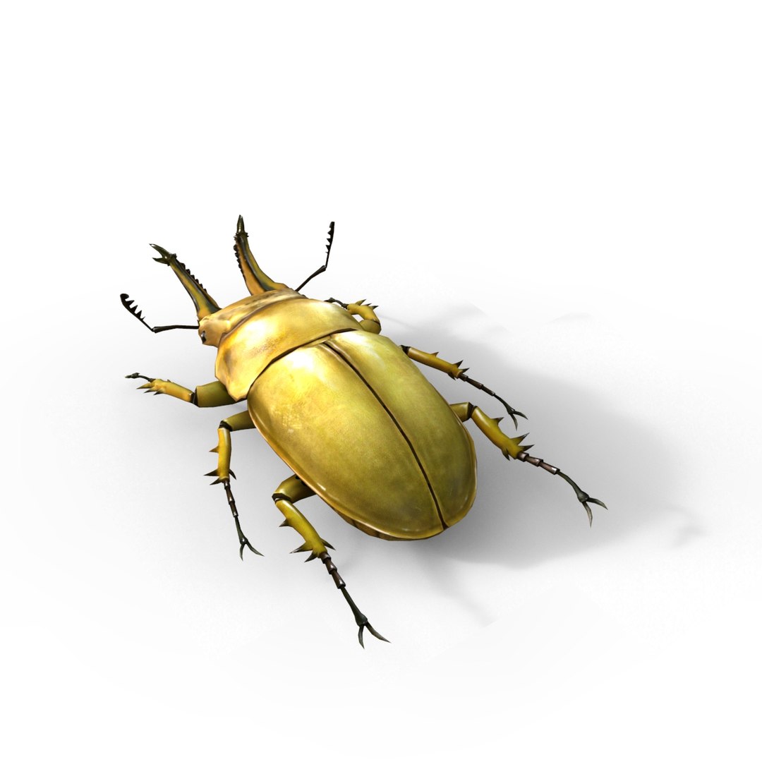3ds max beetle leptinotarsa decemlineata https://p.turbosquid.com/ts-thumb/mp/RQOXHA/XF1UZ88L/beetles_base10/jpg/1409211215/1920x1080/fit_q87/75f2f760de60919d7be00af1a6b61edbb7543bd8/beetles_base10.jpg