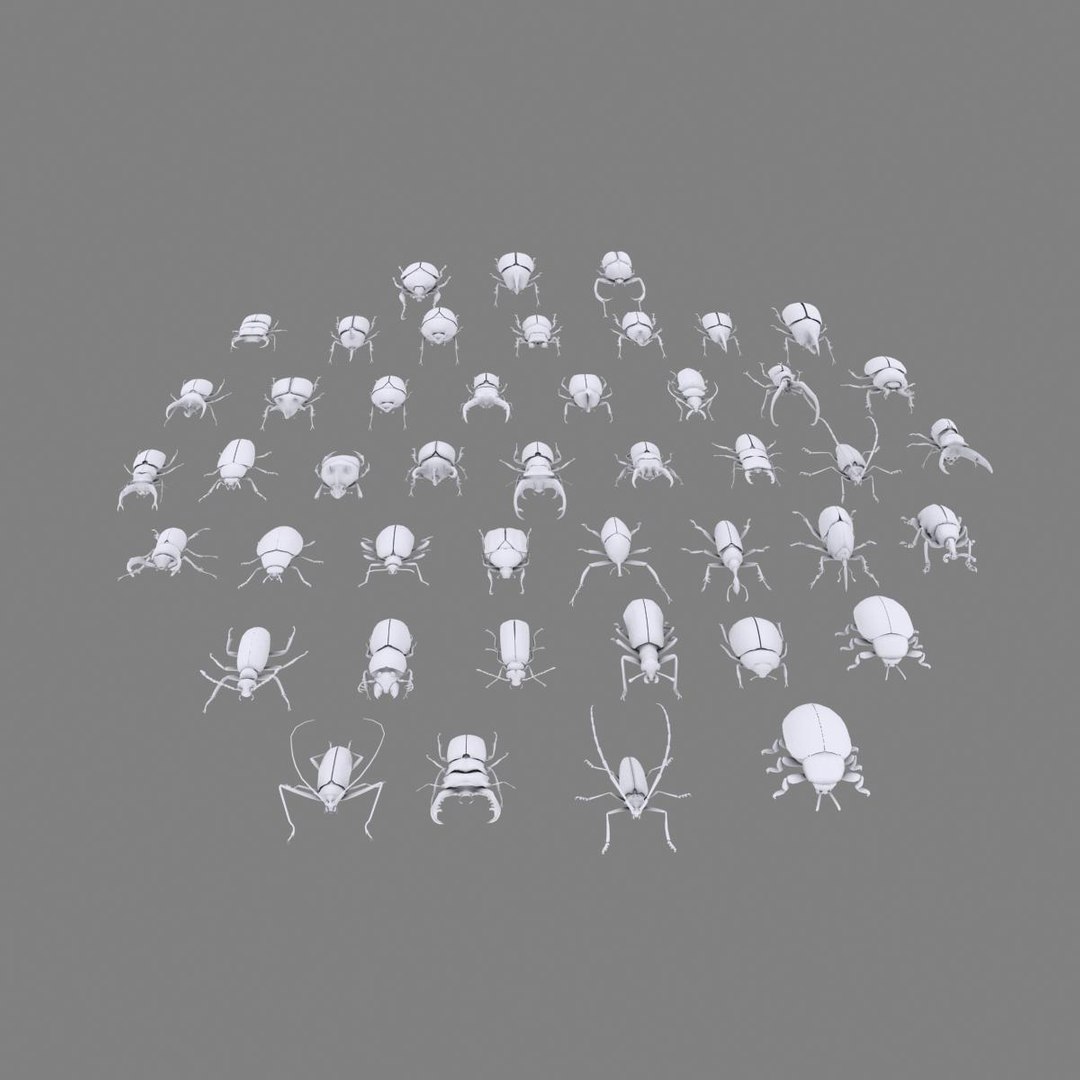 3ds max beetle leptinotarsa decemlineata https://p.turbosquid.com/ts-thumb/mp/RQOXHA/cczwgh48/beetles_prime03/jpg/1409211711/1920x1080/fit_q87/8db3b5c8d77216c1f81ceaf870d30527e8157091/beetles_prime03.jpg
