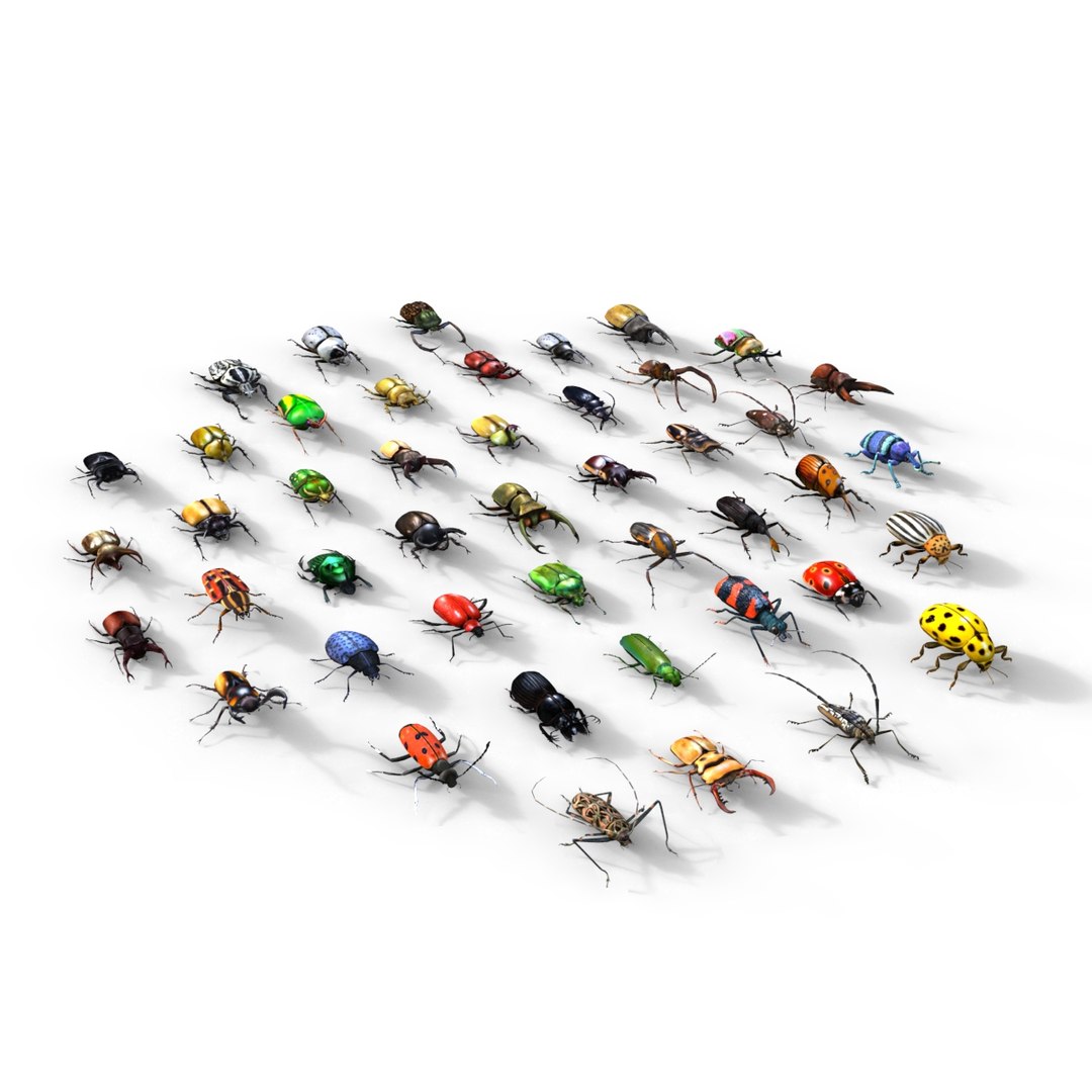 3ds max beetle leptinotarsa decemlineata https://p.turbosquid.com/ts-thumb/mp/RQOXHA/oXo9i9Jj/beetles_base05/jpg/1409211215/1920x1080/fit_q87/c57efb5d5f6ceedc101300201b08e32770d708d1/beetles_base05.jpg
