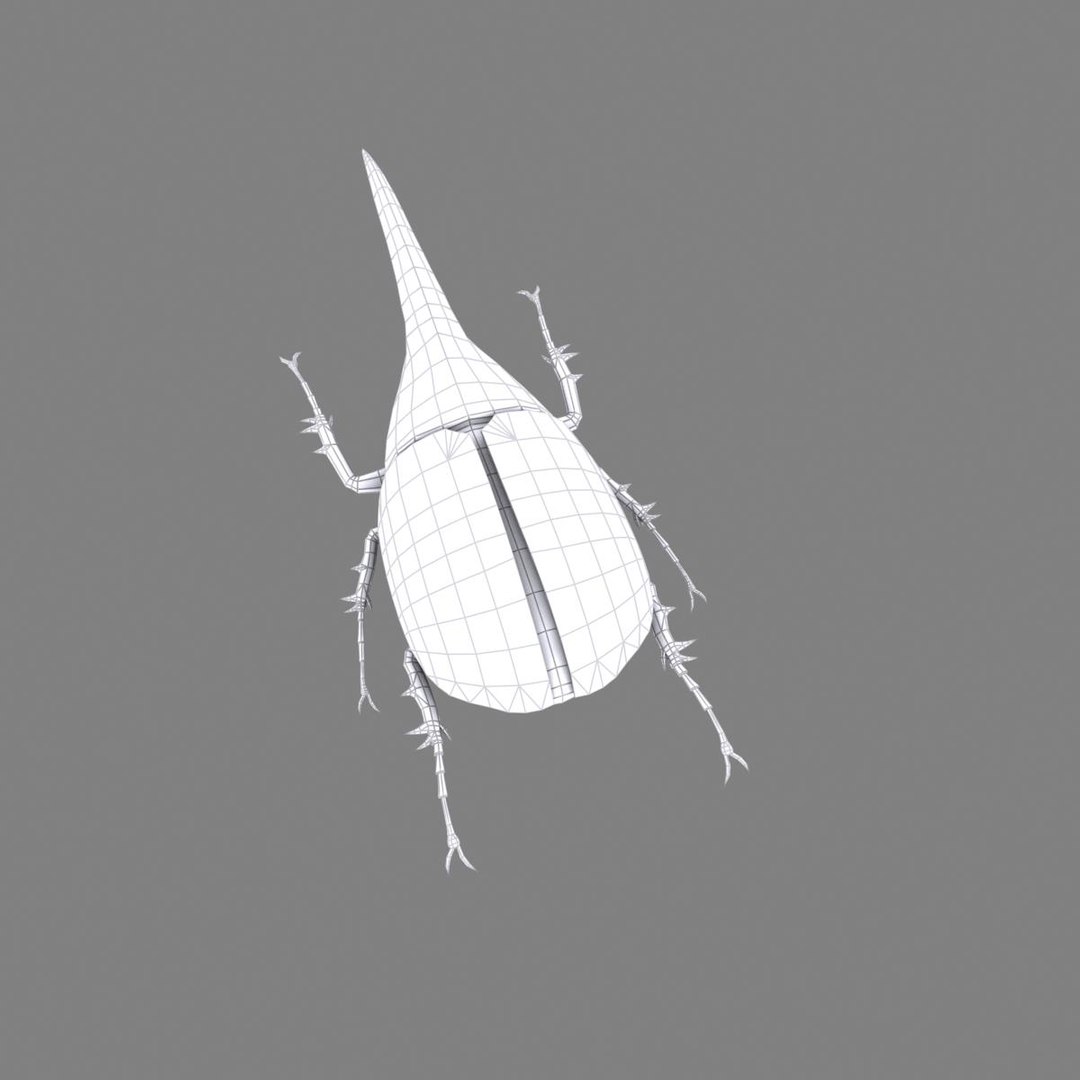 3ds max beetle leptinotarsa decemlineata https://p.turbosquid.com/ts-thumb/mp/RQOXHA/t5Ds1ren/beetles_prime04/jpg/1409211789/1920x1080/fit_q87/708fd7cb5822f886458c5879617b9ddbef7f8feb/beetles_prime04.jpg