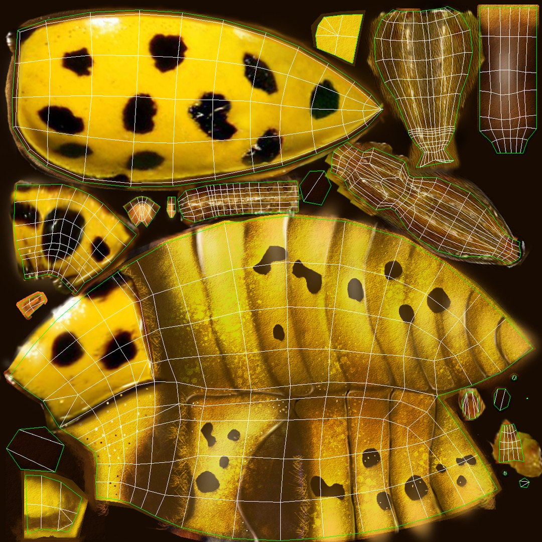 3ds max beetle leptinotarsa decemlineata https://p.turbosquid.com/ts-thumb/mp/RQOXHA/uYKAKWto/22spotladybird_uv/jpg/1409211835/1920x1080/fit_q87/1a62bbb0b33aea4c930aa8c4b3c8e6a362939f91/22spotladybird_uv.jpg