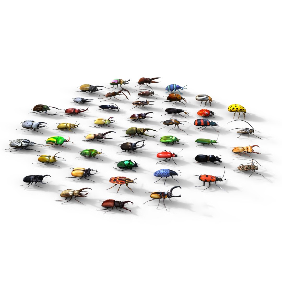 3ds max beetle leptinotarsa decemlineata https://p.turbosquid.com/ts-thumb/mp/RQOXHA/x7kjZn8z/beetles_base06/jpg/1409211215/1920x1080/fit_q87/862521a34e55c5b1e539b489f2af03bf30c52536/beetles_base06.jpg
