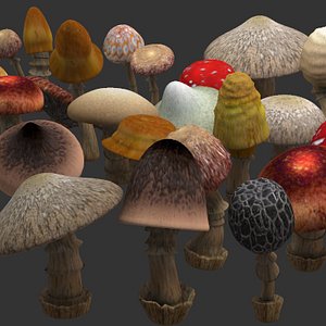 mushrooms
