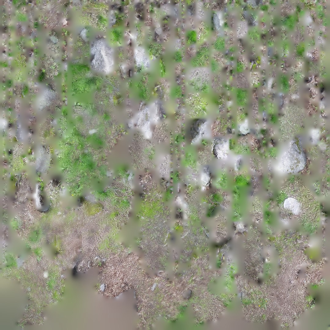 3d Model Of Forest Ground