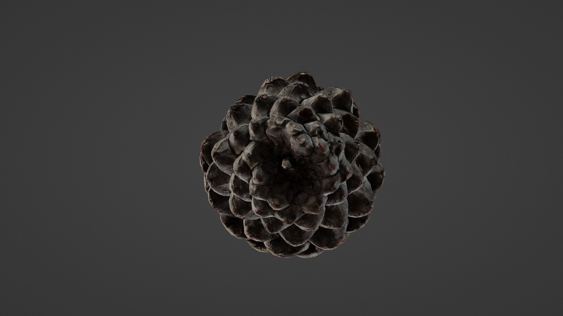 3D Pine Cone Model - TurboSquid 2330433
