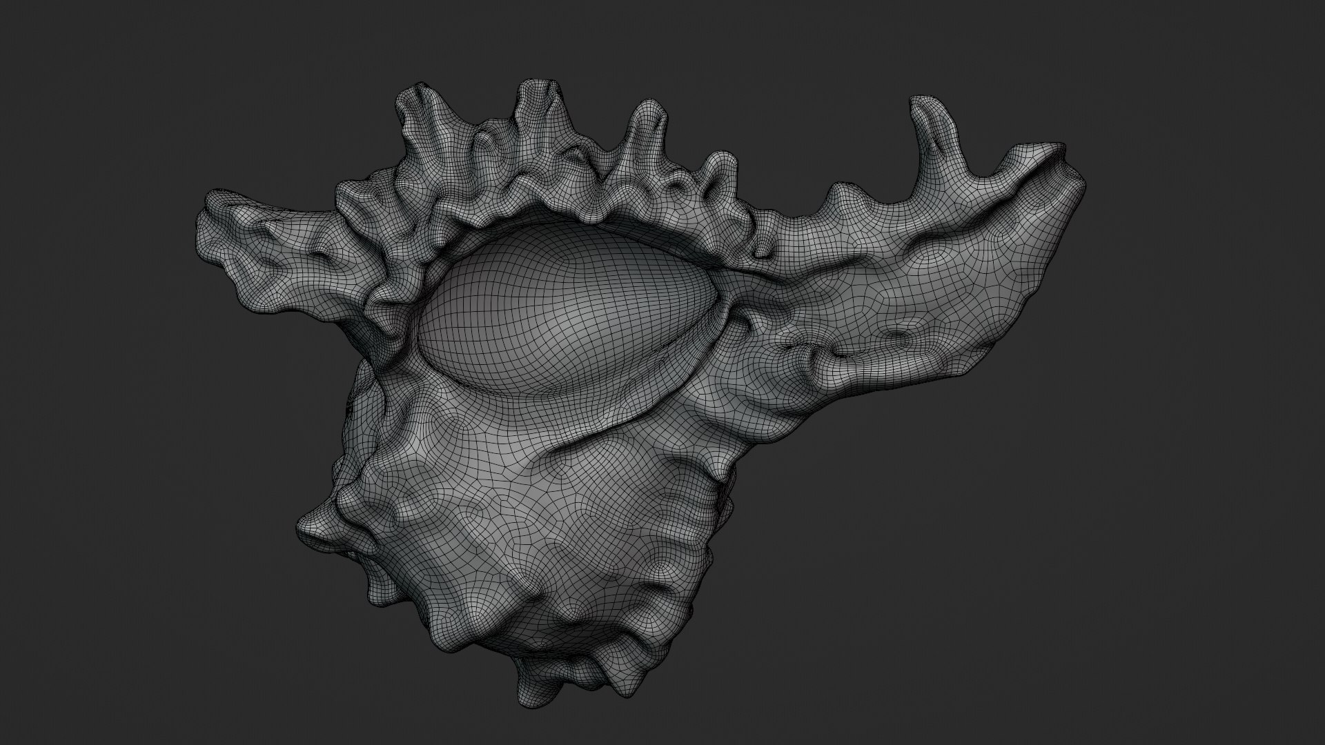 Murex Shell Collection 3D model https://p.turbosquid.com/ts-thumb/mp/ijV4ER/1q/murex04_d0003/png/1753296225/1920x1080/fit_q87/43682711bd2d032623f94b751120ec182b672c75/murex04_d0003.jpg