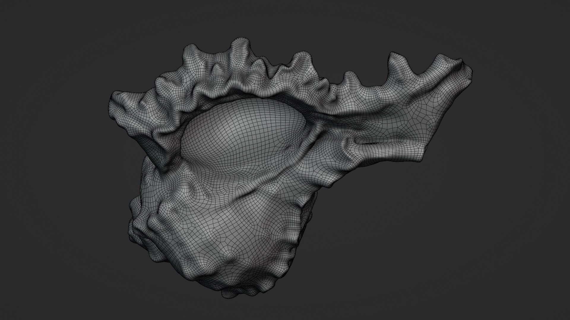 Murex Shell Collection 3D model https://p.turbosquid.com/ts-thumb/mp/ijV4ER/GW/murex03_d0003/png/1753296247/1920x1080/fit_q87/423dff173531f9e8c25ef9b8d110ac306276ed15/murex03_d0003.jpg