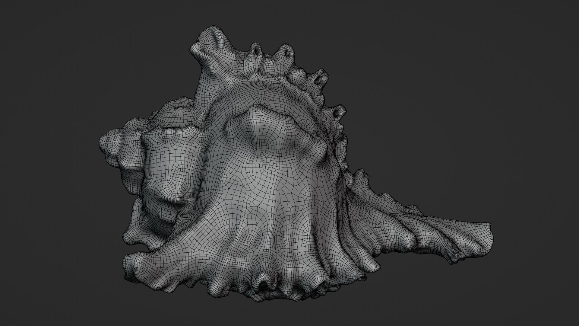 Murex Shell Collection 3D model https://p.turbosquid.com/ts-thumb/mp/ijV4ER/lm/murex04_d0002/png/1753296226/1920x1080/fit_q87/cd93aab4bfca84ba849c2cd68b5d1f6af36207d2/murex04_d0002.jpg