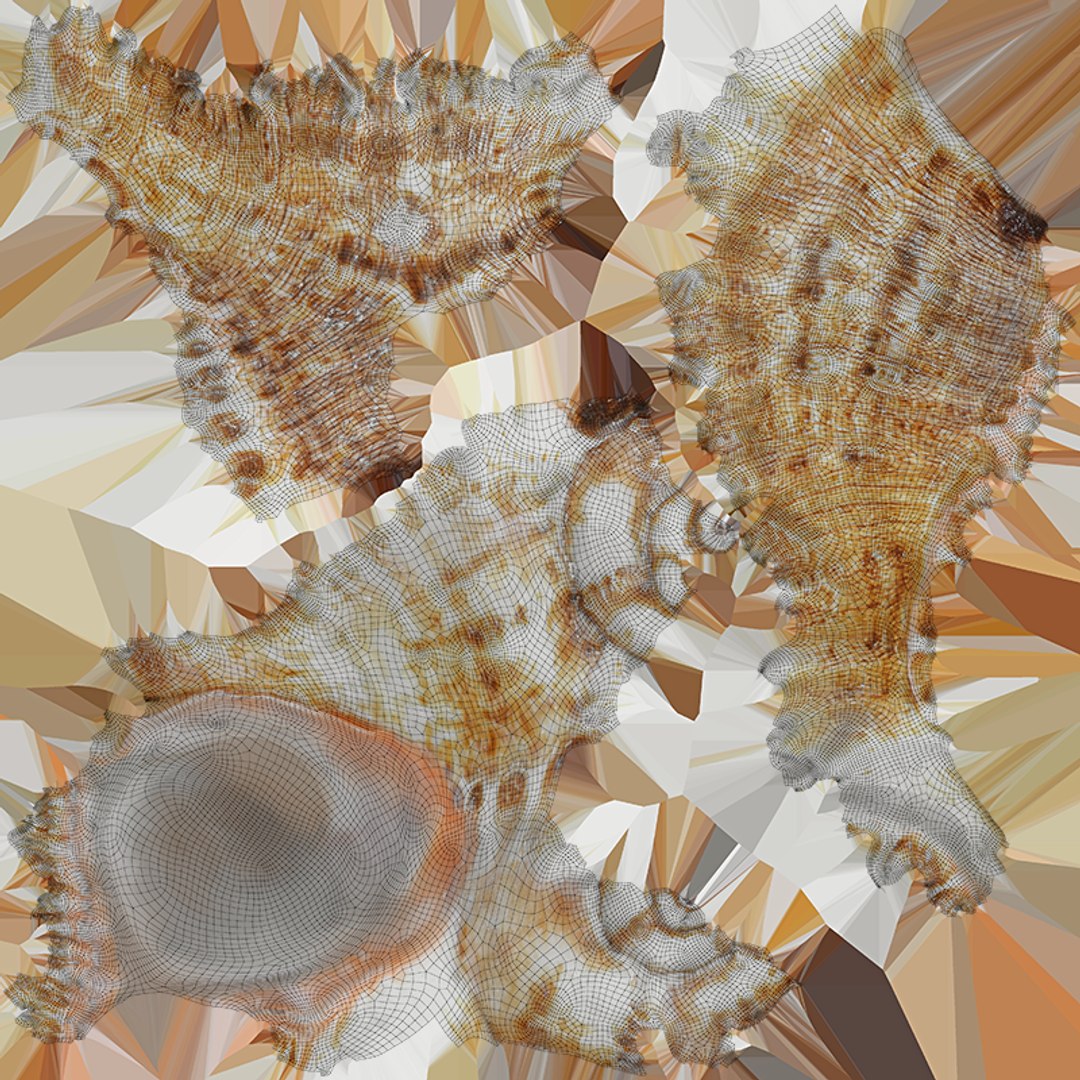 Murex Shell Collection 3D model https://p.turbosquid.com/ts-thumb/mp/ijV4ER/nz/murex03_c0004/png/1753296244/1920x1080/fit_q87/9858e857040a03dd71be875441886dbf15d16429/murex03_c0004.jpg
