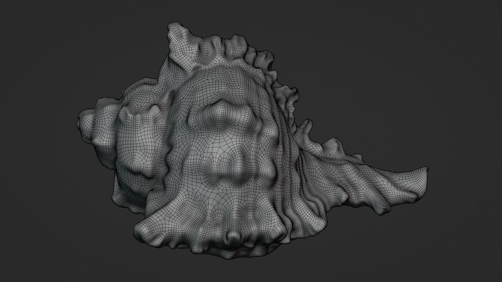 Murex Shell Collection 3D model https://p.turbosquid.com/ts-thumb/mp/ijV4ER/zz/murex03_d0002/png/1753296245/1920x1080/fit_q87/c2e0fd2ba349f31eca7ef9accbe5d51173888e9c/murex03_d0002.jpg