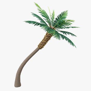 3D Cartoon Palm Tree 05