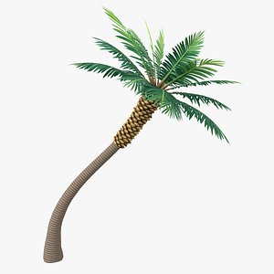 Cartoon Palm Tree 05
