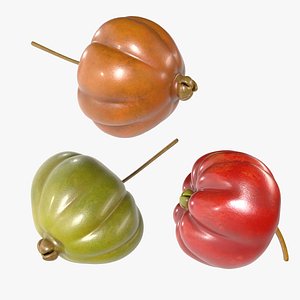 Surinam Cherry 3D model