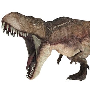 Realistic Tyranasaurus rex