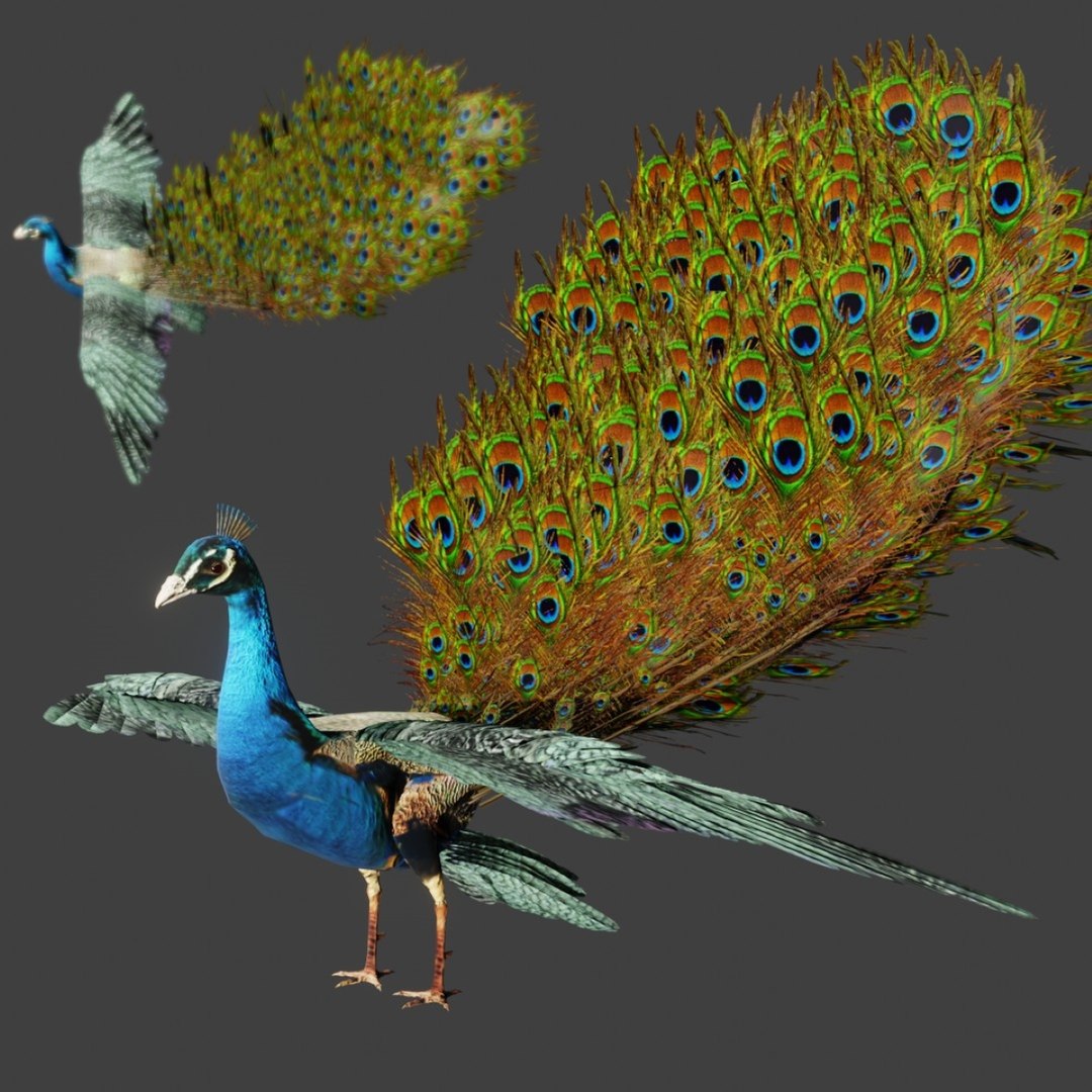 Rigged Realistic Model - TurboSquid 1577070