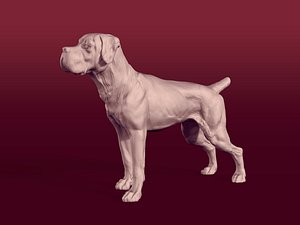 Boxer - Dog Statue