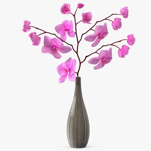 Vase 3D Models for Download
