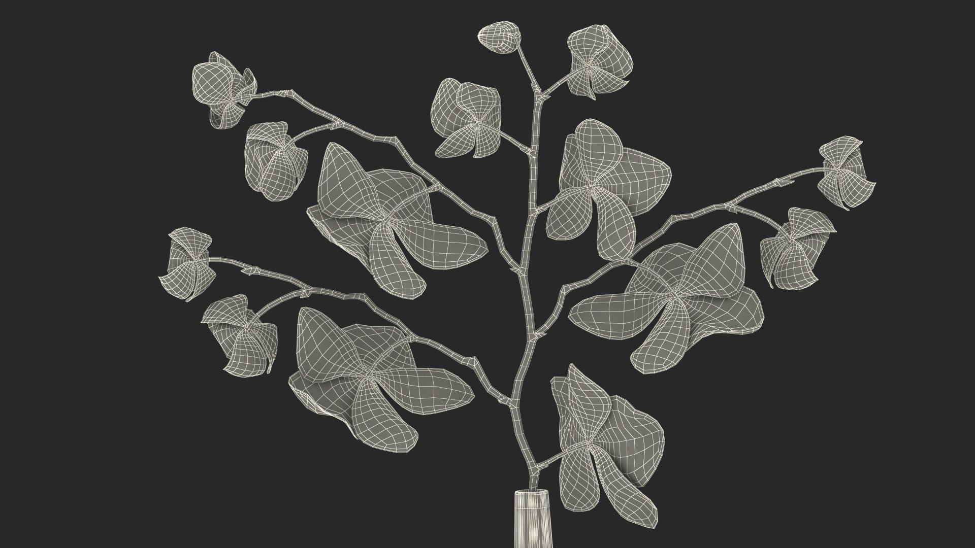 Phalaenopsis Pink Orchid Stem in Ceramic Vase 3D model https://p.turbosquid.com/ts-thumb/mq/VEpNYD/6s/phalaenopsispinkorchidsteminceramicvase3dmodel029/jpg/1686819026/1920x1080/fit_q87/ad3f13776211c47e4f7ae60317634bd375485256/phalaenopsispinkorchidsteminceramicvase3dmodel029.jpg
