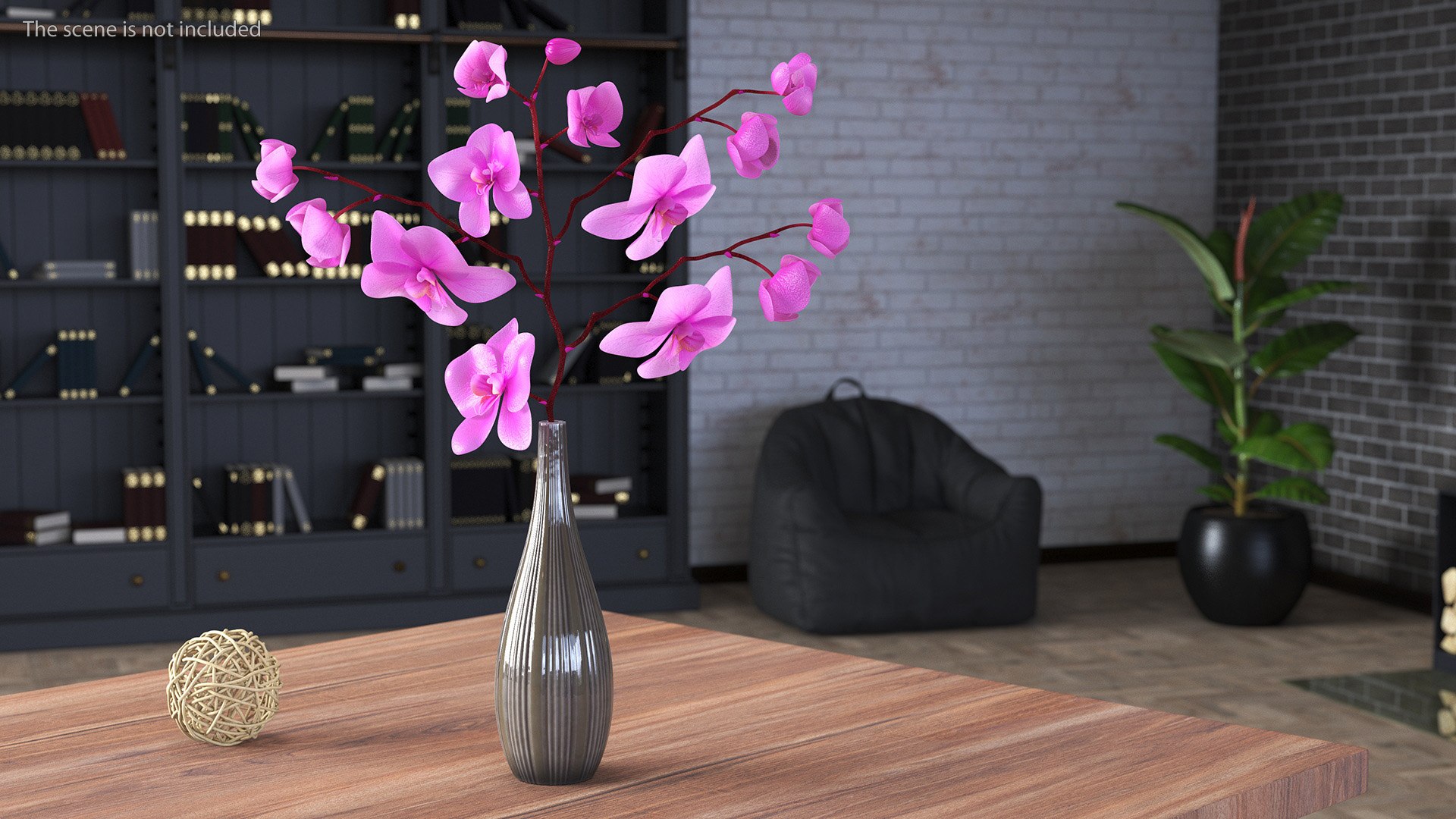 Phalaenopsis Pink Orchid Stem in Ceramic Vase 3D model https://p.turbosquid.com/ts-thumb/mq/VEpNYD/Bf/phalaenopsispinkorchidsteminceramicvase3dmodel002/jpg/1686818937/1920x1080/fit_q87/410c566f72265a597179c1368de1f48065e009f6/phalaenopsispinkorchidsteminceramicvase3dmodel002.jpg