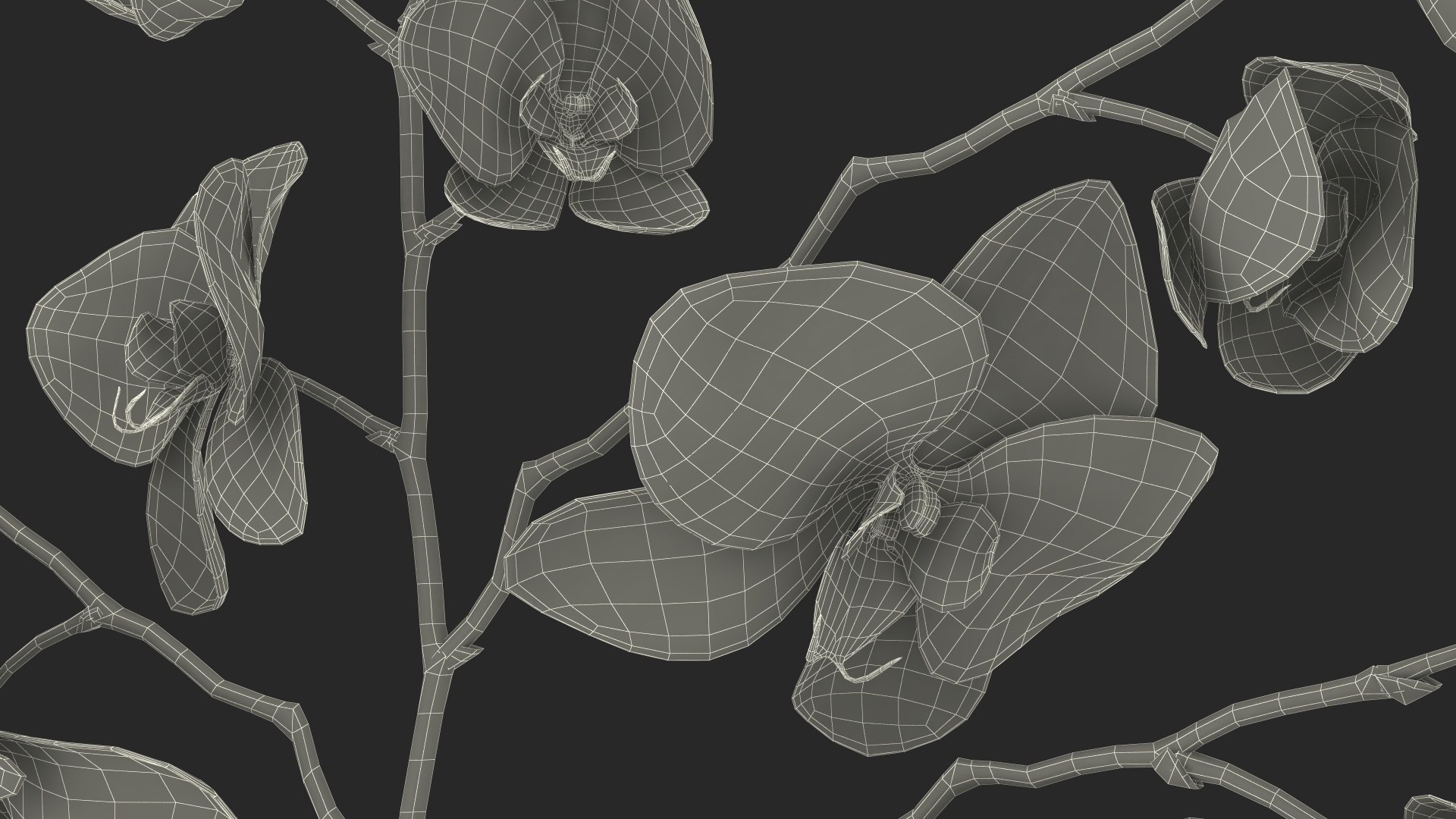 Phalaenopsis Pink Orchid Stem in Ceramic Vase 3D model https://p.turbosquid.com/ts-thumb/mq/VEpNYD/Hs/phalaenopsispinkorchidsteminceramicvase3dmodel030/jpg/1686819029/1920x1080/fit_q87/477e1d074c5e50be0c983519ead519f720bf1175/phalaenopsispinkorchidsteminceramicvase3dmodel030.jpg