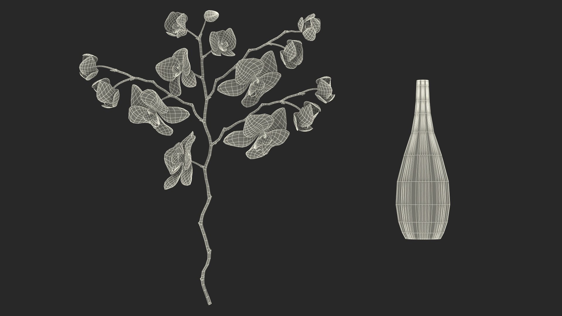 Phalaenopsis Pink Orchid Stem in Ceramic Vase 3D model https://p.turbosquid.com/ts-thumb/mq/VEpNYD/QJ/phalaenopsispinkorchidsteminceramicvase3dmodel033/jpg/1686819038/1920x1080/fit_q87/052369fefda26ee3ba96cd9ecb1d9d39eff2aafa/phalaenopsispinkorchidsteminceramicvase3dmodel033.jpg