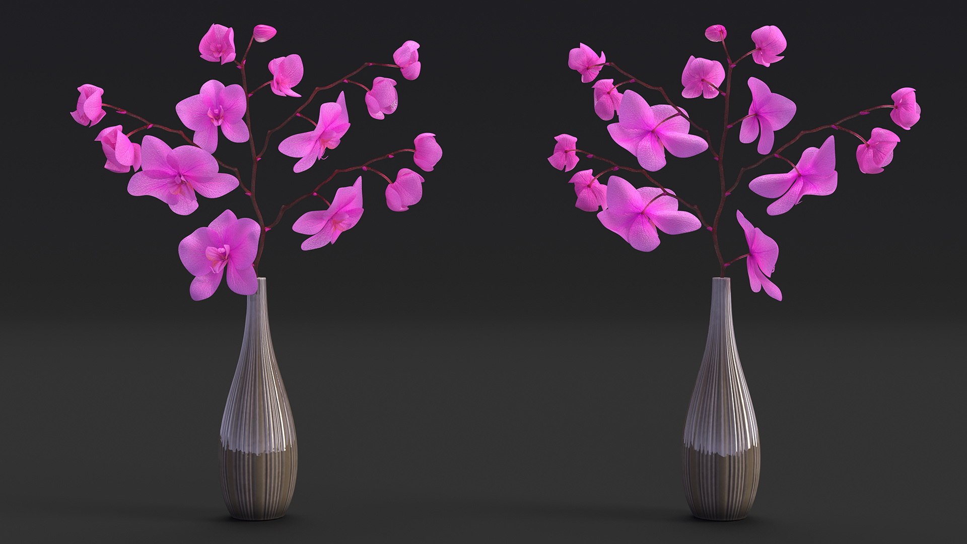 Phalaenopsis Pink Orchid Stem in Ceramic Vase 3D model https://p.turbosquid.com/ts-thumb/mq/VEpNYD/QV/phalaenopsispinkorchidsteminceramicvase3dmodel008/jpg/1686818958/1920x1080/fit_q87/f774398b25d2e9c743e3072f7c0a264168f80d5b/phalaenopsispinkorchidsteminceramicvase3dmodel008.jpg