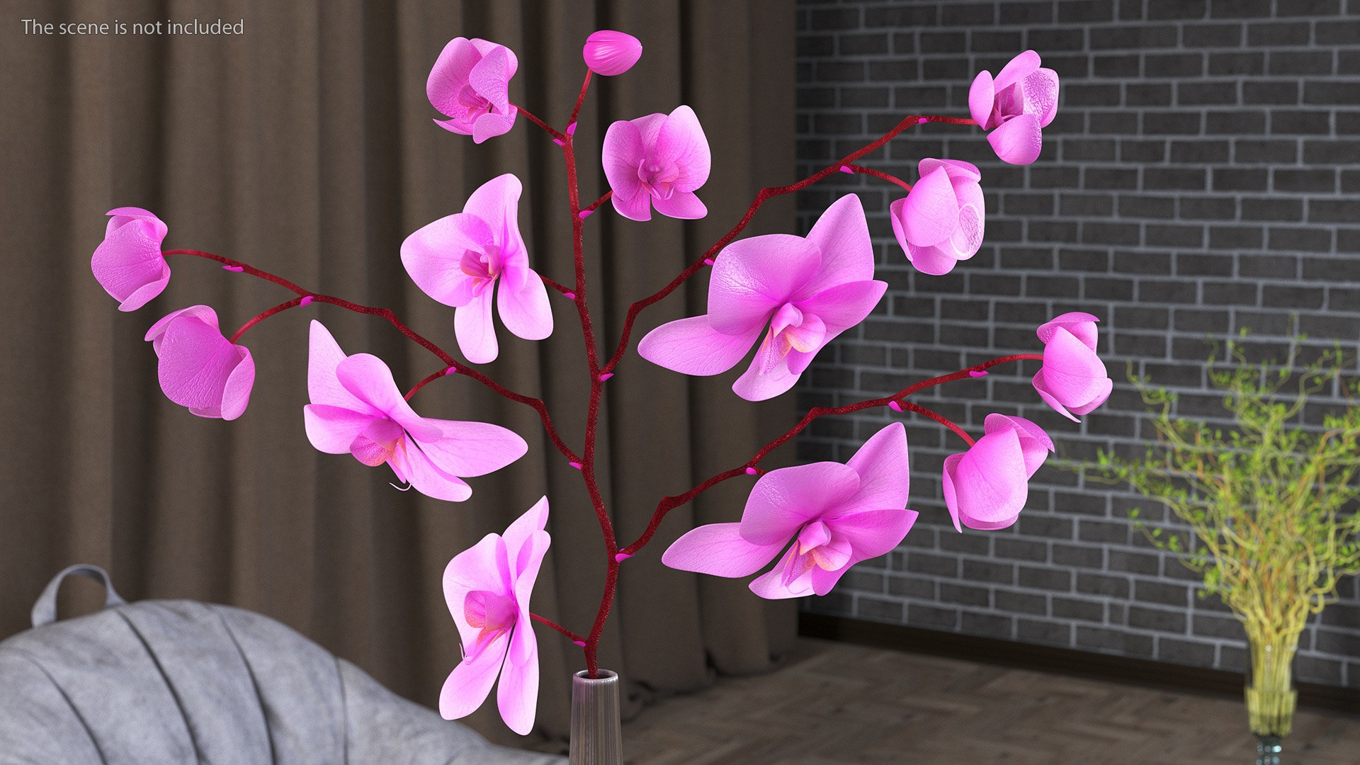 Phalaenopsis Pink Orchid Stem in Ceramic Vase 3D model https://p.turbosquid.com/ts-thumb/mq/VEpNYD/Z7/phalaenopsispinkorchidsteminceramicvase3dmodel005/jpg/1686818947/1920x1080/fit_q87/f30c9dfe9617eb6c2e1d85e6cccedb3e4429859a/phalaenopsispinkorchidsteminceramicvase3dmodel005.jpg