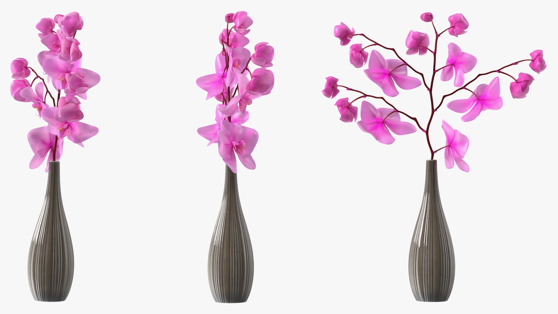 Phalaenopsis Pink Orchid Stem in Ceramic Vase 3D model https://p.turbosquid.com/ts-thumb/mq/VEpNYD/jc/phalaenopsispinkorchidsteminceramicvase3dmodel011/jpg/1686818967/1920x1080/fit_q87/5009004484181f89070dfcee84a46698df86dcc8/phalaenopsispinkorchidsteminceramicvase3dmodel011.jpg
