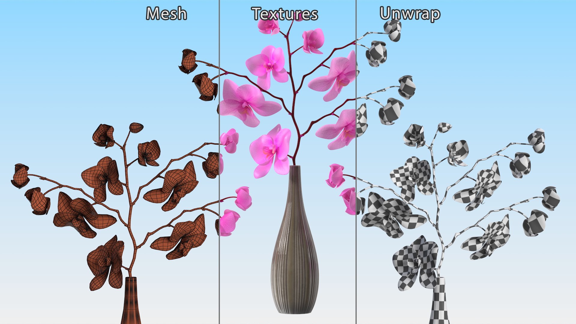 Phalaenopsis Pink Orchid Stem in Ceramic Vase 3D model https://p.turbosquid.com/ts-thumb/mq/VEpNYD/q5/phalaenopsispinkorchidsteminceramicvase3dmodel018/jpg/1686818988/1920x1080/fit_q87/405c2bd1aded295d7874b6e8818d8fde4b860742/phalaenopsispinkorchidsteminceramicvase3dmodel018.jpg