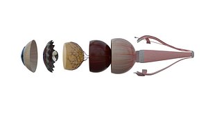 3D 3D Human eye Anatomy Model  Female Reproductive System