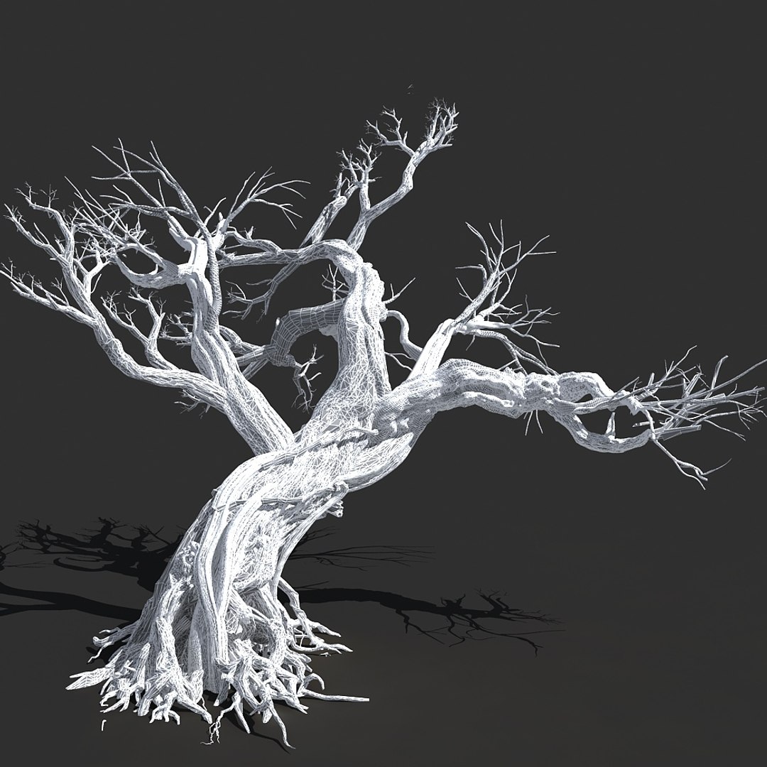 3d scary tree dry https://p.turbosquid.com/ts-thumb/mq/aEPkLR/DOfDUbSb/15_07/jpg/1465962572/1920x1080/fit_q87/808bff6bbefb97d0dda7323db8a8bee30263365a/15_07.jpg