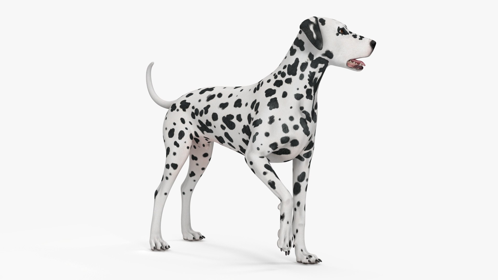 Large Dogs Collection 3D https://p.turbosquid.com/ts-thumb/mq/rWefXK/0R/large_dogs_collection_015/jpg/1763388534/1920x1080/fit_q87/f4d573b305232a51fc585ae358863f6d92779174/large_dogs_collection_015.jpg