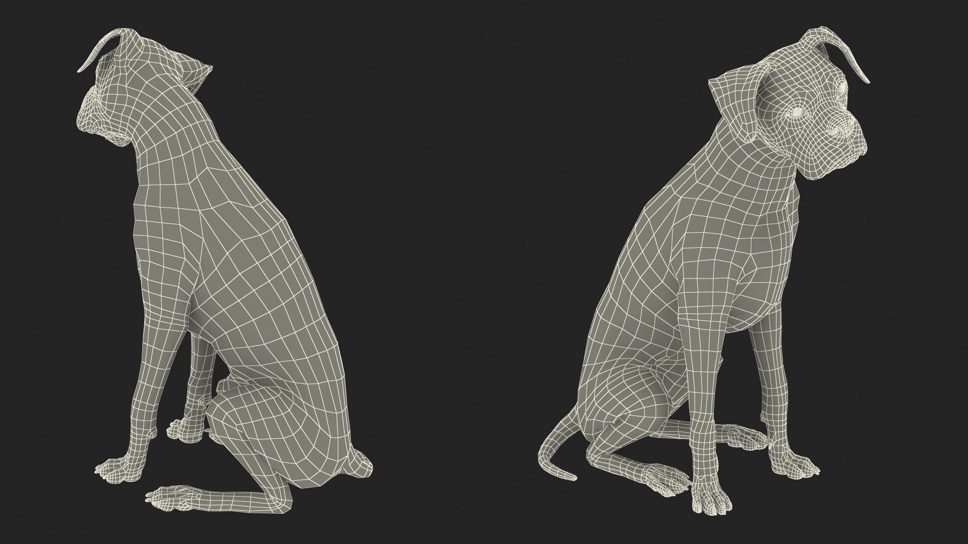 Large Dogs Collection 3D https://p.turbosquid.com/ts-thumb/mq/rWefXK/1n/large_dogs_collection_009/jpg/1763388530/1920x1080/fit_q87/894301cf9765f7a1c45c7f767776bc7c73a8b687/large_dogs_collection_009.jpg