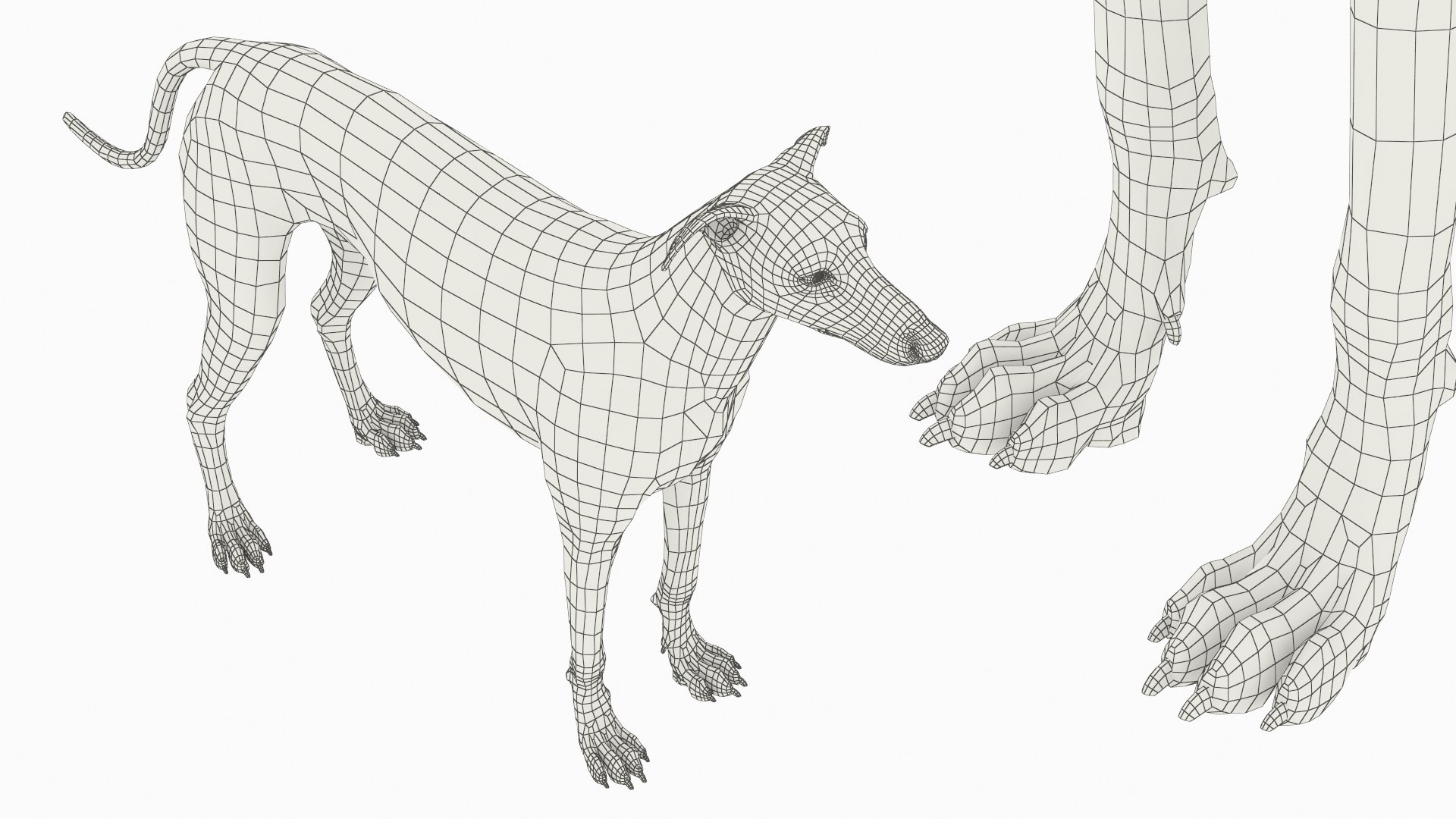 Large Dogs Collection 3D https://p.turbosquid.com/ts-thumb/mq/rWefXK/9V/large_dogs_collection_005/jpg/1763388528/1920x1080/fit_q87/3bc5b1af7986171b394b4dad46e473497d5861a2/large_dogs_collection_005.jpg