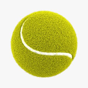 Tennis Ball with Hairs 3D model