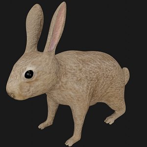 3D realistic rigged hare model