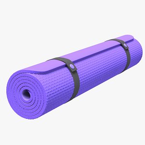 Gym Carpet Rollup