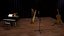Concert Stage and Music Equipment Collection