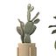 5 Modern Potted Grasses and Ivy Houseplants - Set 206