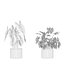 5 Modern Potted Grasses and Ivy Houseplants - Set 206