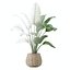 5 Modern Potted Grasses and Ivy Houseplants - Set 206