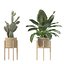 5 Modern Potted Grasses and Ivy Houseplants - Set 206