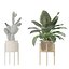 5 Modern Potted Grasses and Ivy Houseplants - Set 206