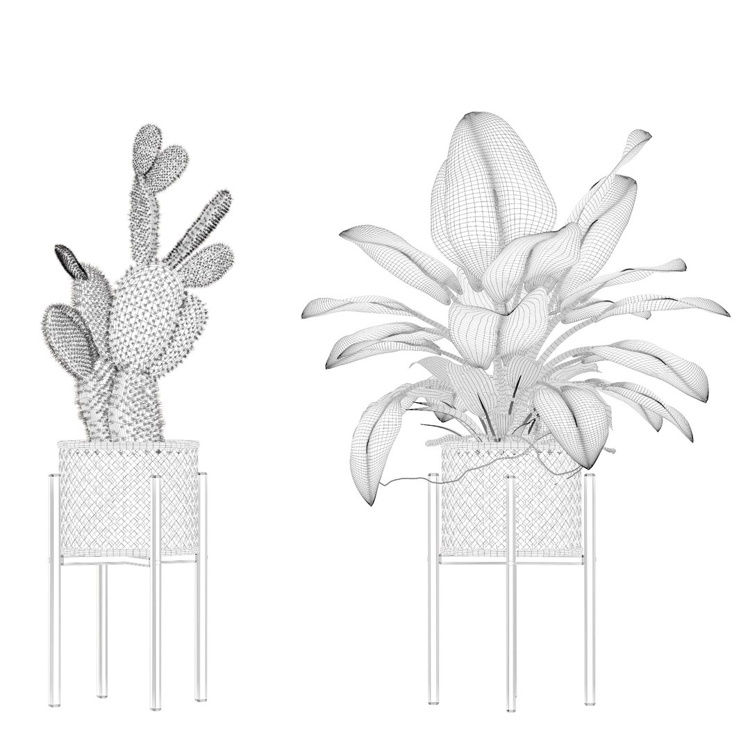 Plants collection 206 - alocasia strelitzia cactus philodendron 3D model https://p.turbosquid.com/ts-thumb/mr/Nv8bdF/wN/11/jpg/1717484891/1920x1080/fit_q87/7c00e1de80bd2f1636e24beba4b8d81d97f7490c/11.jpg