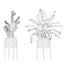 5 Modern Potted Grasses and Ivy Houseplants - Set 206