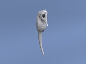 seahorse swim 3d max