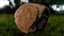 Material rochoso processual